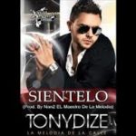 Tony Dize - Sientelo MP3